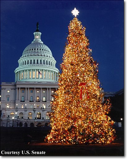 capitol_christmas_tree_1995_2.312172752.jpg
