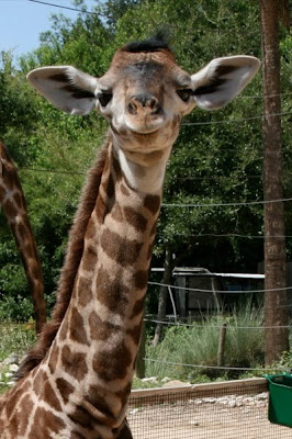 [verlinkte Grafik wurde nicht gefunden]