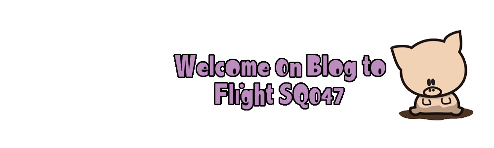 Welcome on blog to Flight SQ047