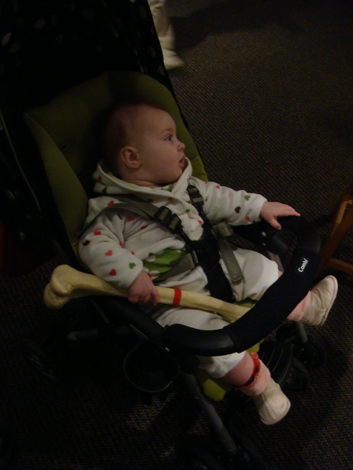 [DSC06987.JPG]