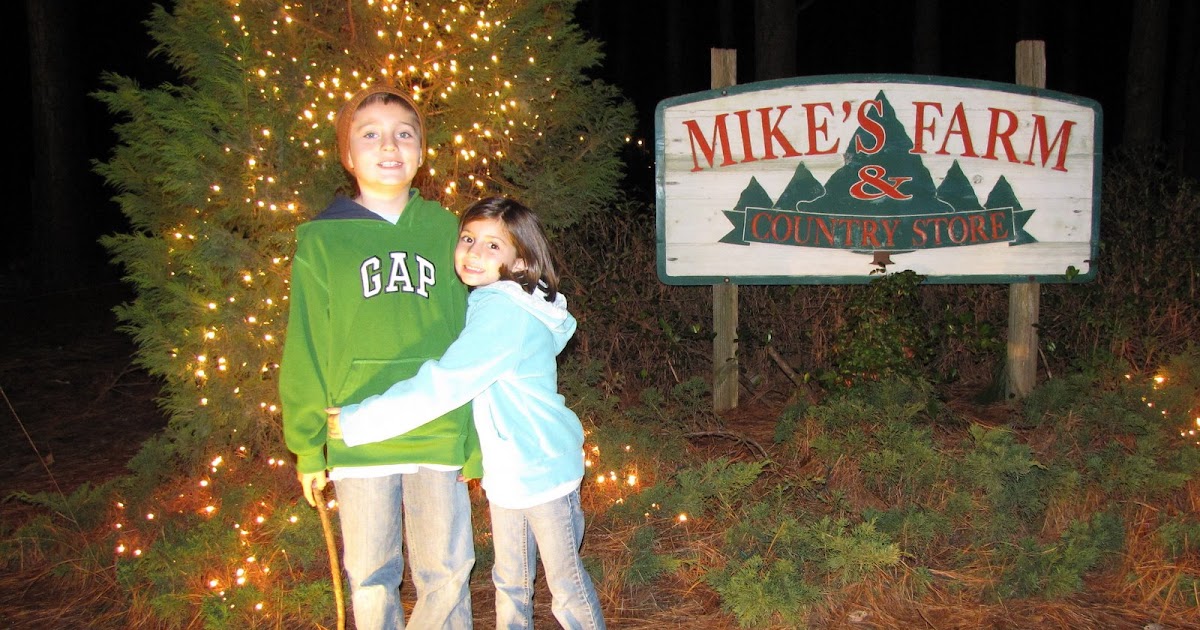 The Lopez Family Festival of Lights at Mike's Farm