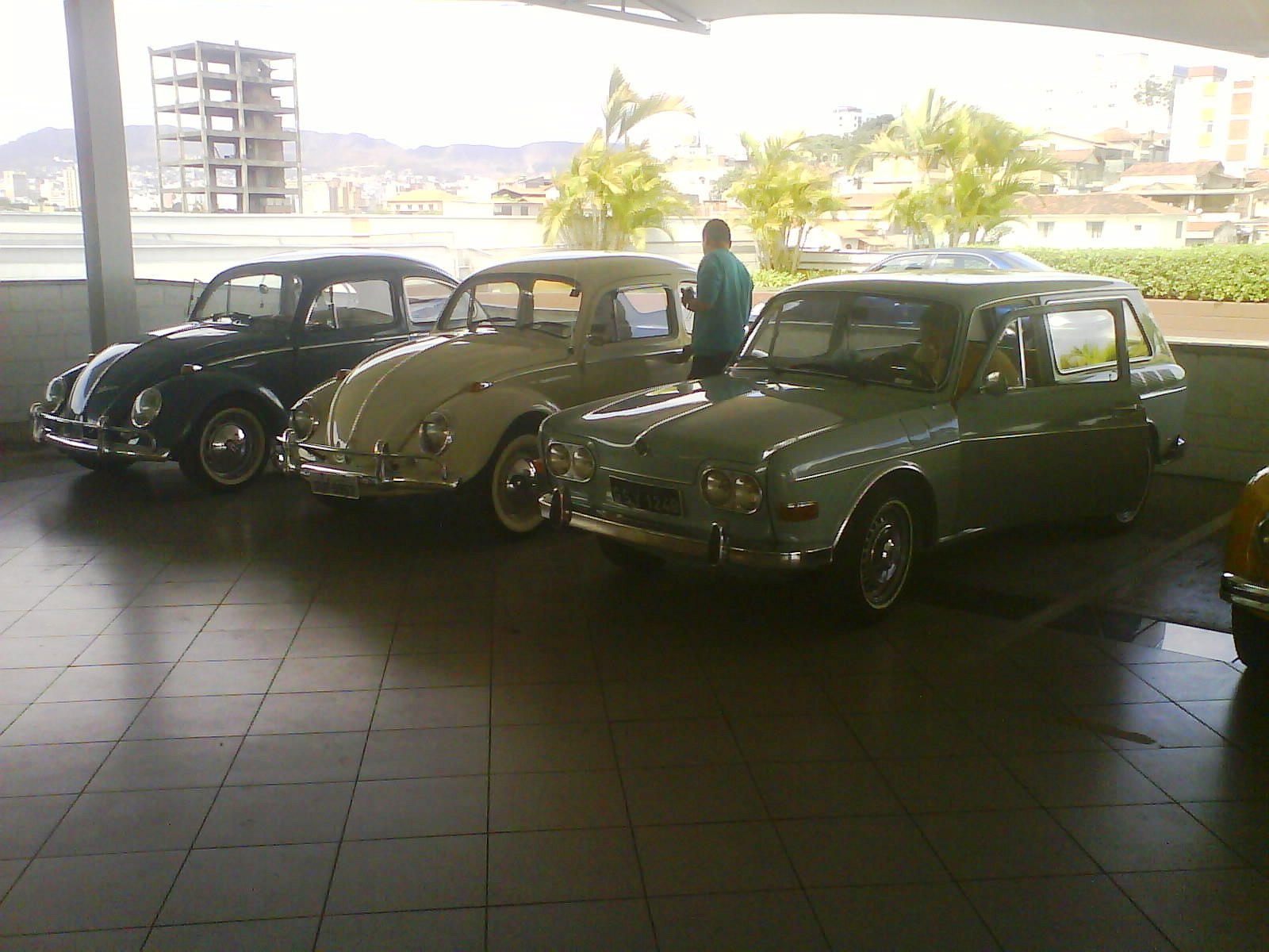 [DSC00299.JPG]