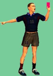 [arbitro.jpg]