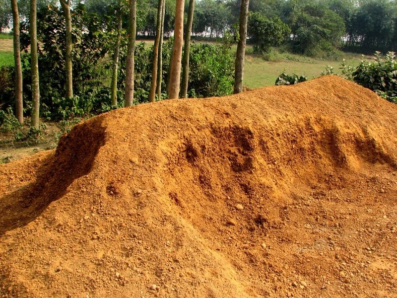 Aquatic World Planted Aquarium Basics