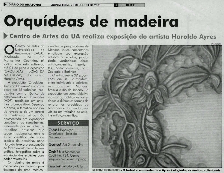 JORNAL ACRITICA