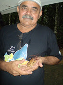EU E O BESOURO