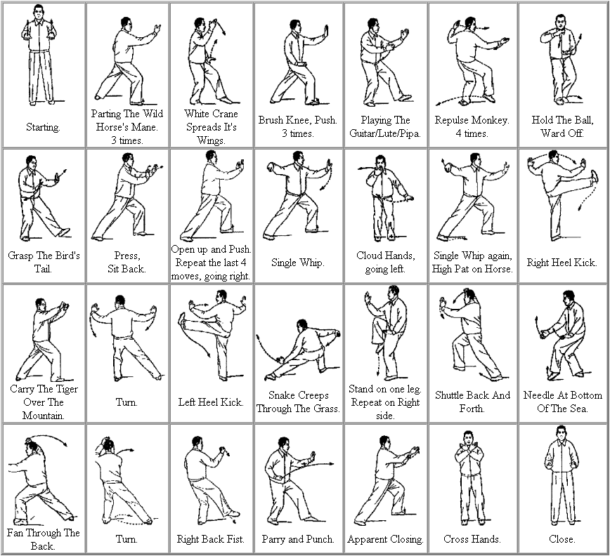 taoist tai chi 108 moves