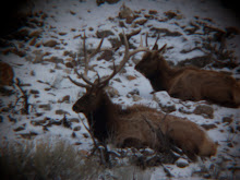 Pictures taken on the trip with scope...