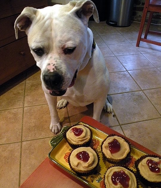 52 Cupcakes and Layla Martha Stewart's Peanut Butter Cupcakes with