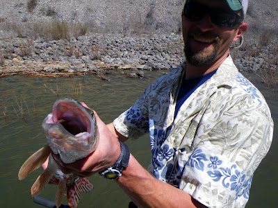Clark Fork River, Northern Pike and Casey Hackathorn