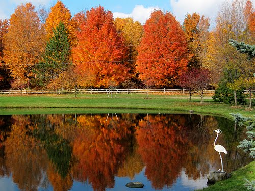 by rkramer62 flickr CC