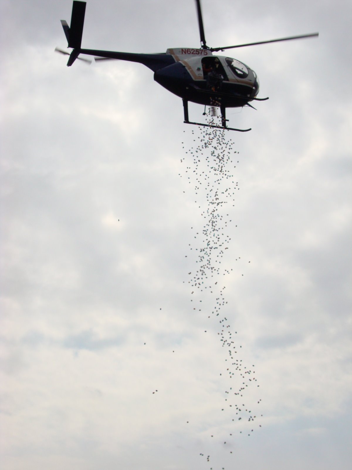 [Helicopter+egg+drop.jpg]