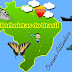As Borboletas do Brasil