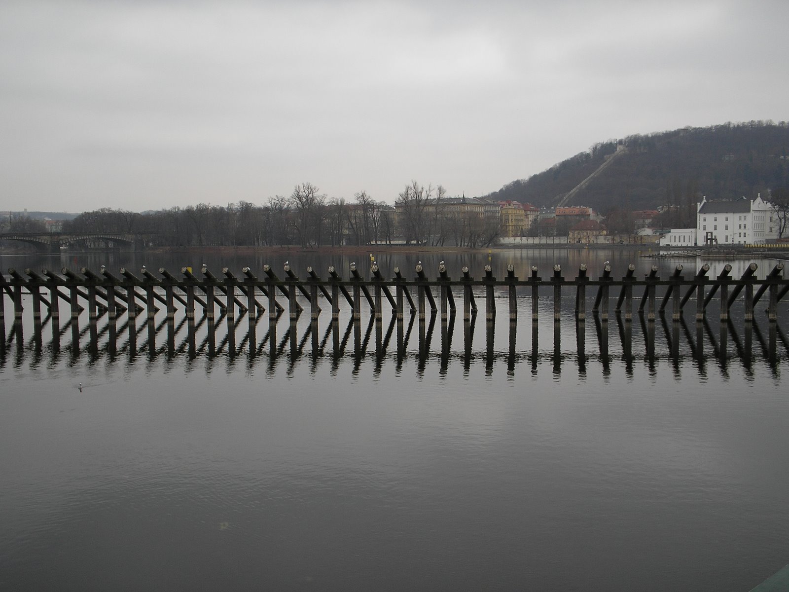 [P1013410.JPG]