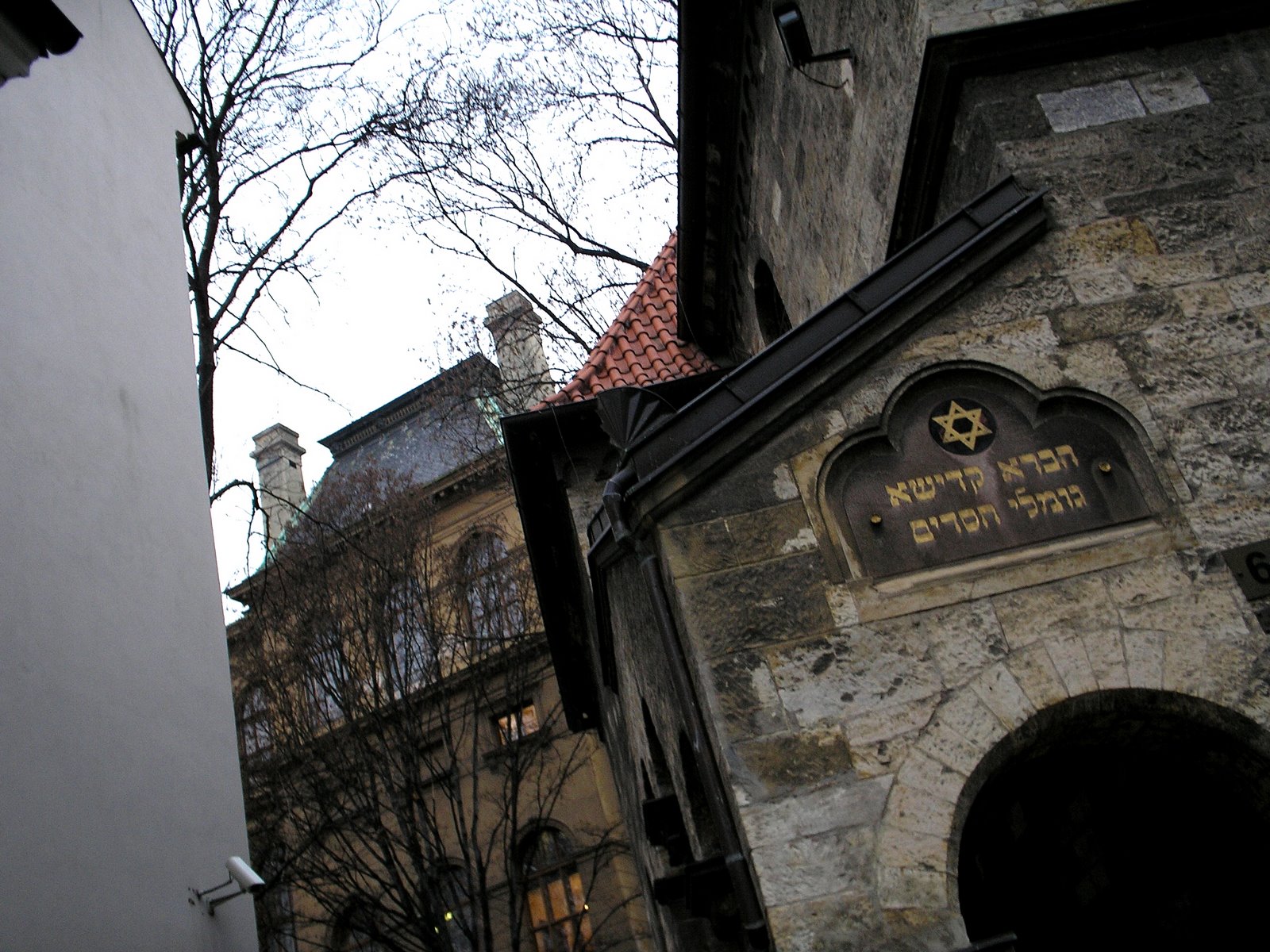 [P1013491.JPG]