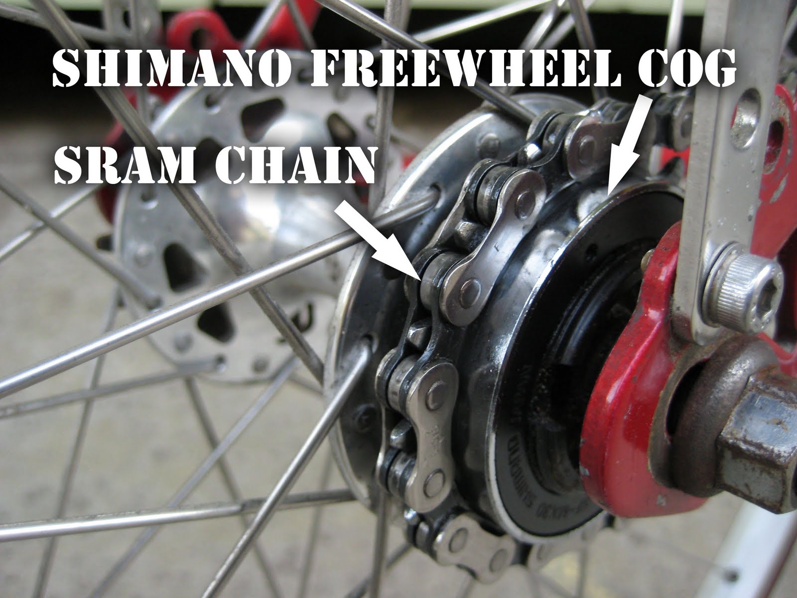 Chain Cog