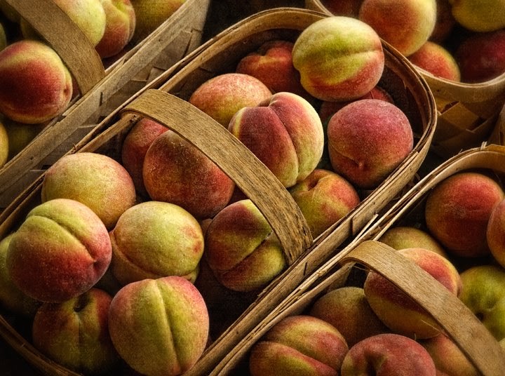 Dan Routh Photography North Carolina Peaches