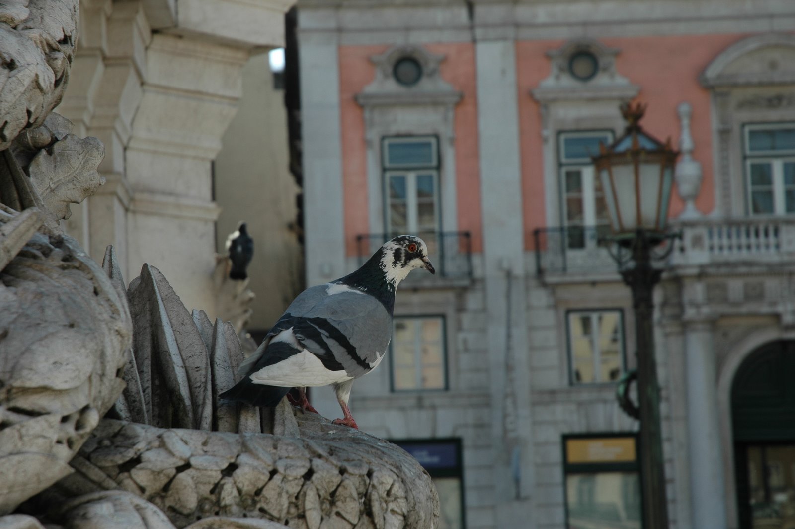 [2008-03-01+(38).JPG]