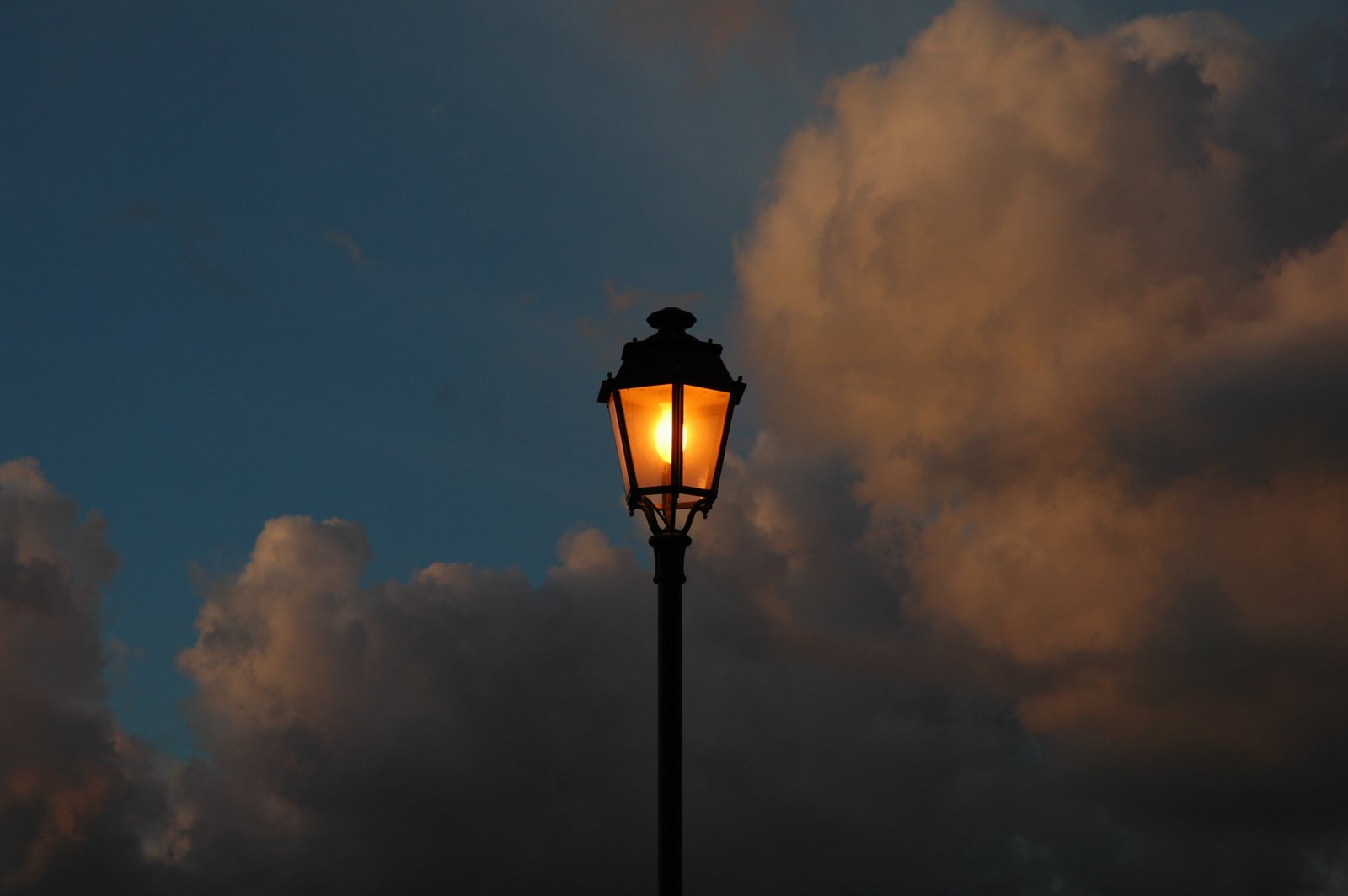 [DSC_0431.JPG]