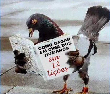 [Pombo+correio+liÃ§Ãµes.bmp]