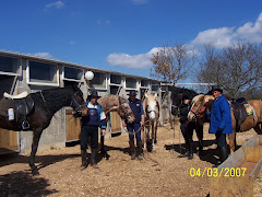 I componenti del circolo