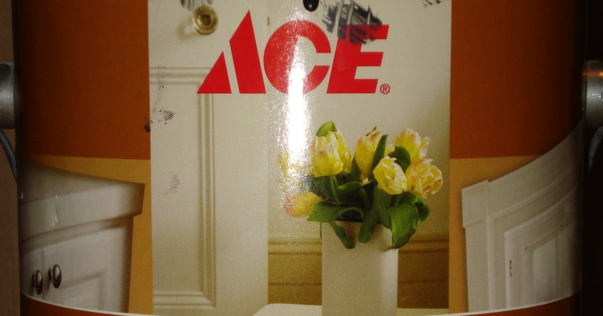 ACE and Trim Paint Honey Oak's Perfect Companion Anything Pretty