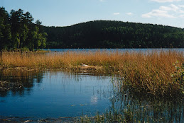 Vid sjön