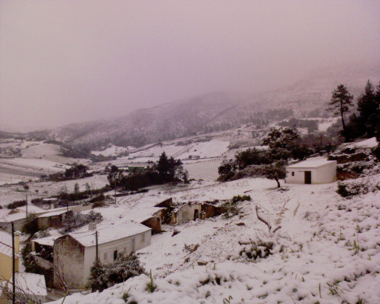 [DSC00351.JPG]