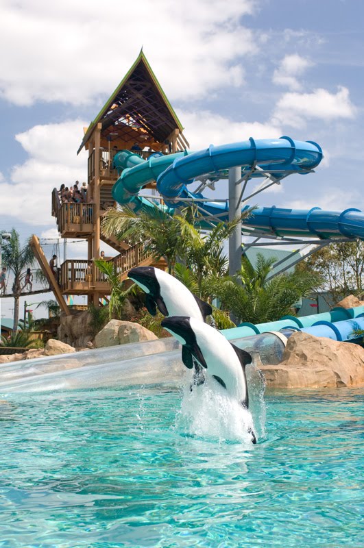 Esprit Villa in Orlando, Florida: Aquatica - more than ...