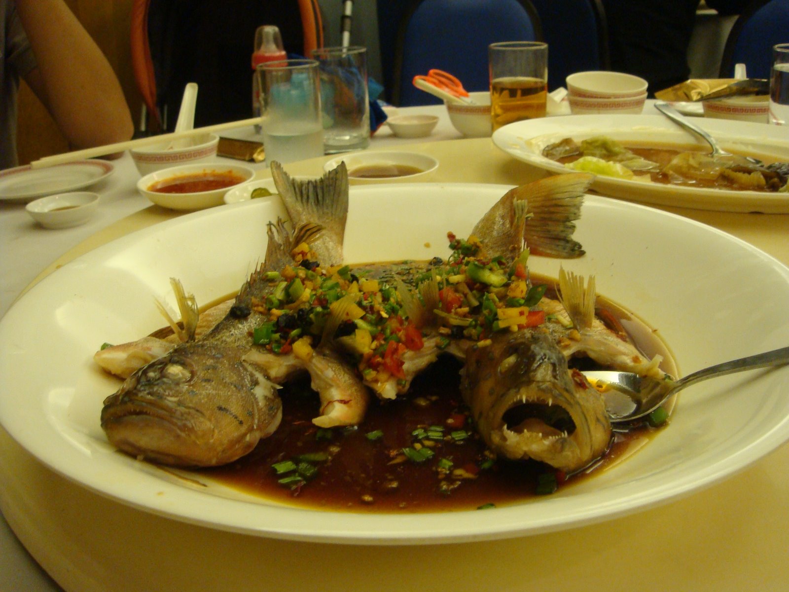 [DSC00964.JPG]