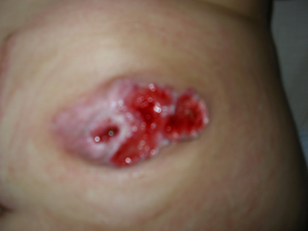 [15-10-06.JPG]