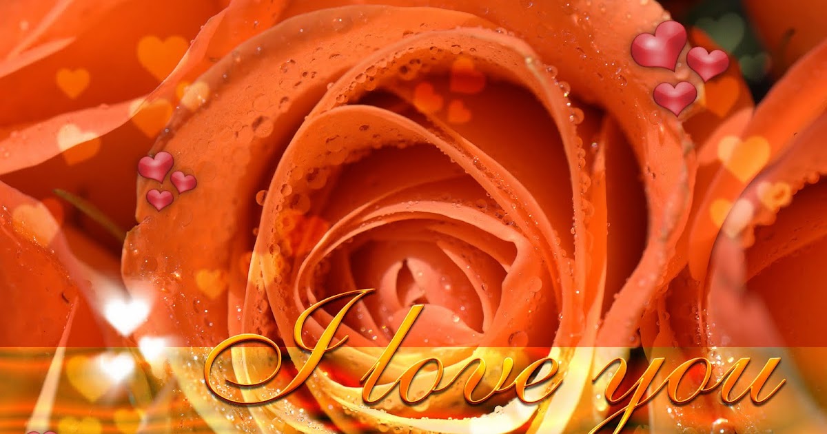 Valentine's Day Wallpapers: I Love You Wallpaper, Free I Love You
