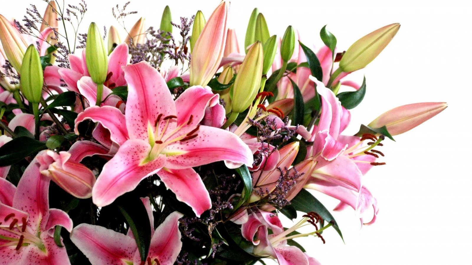 http://3.bp.blogspot.com/_u2tYu-uzSZY/TBJqLOS6L3I/AAAAAAAACCs/xPbRZGm4gEU/s1600/Valentines-Day-Flower-Bouquet-Wallpapers.jpg