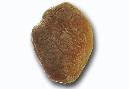 [Bolinha.jpg]