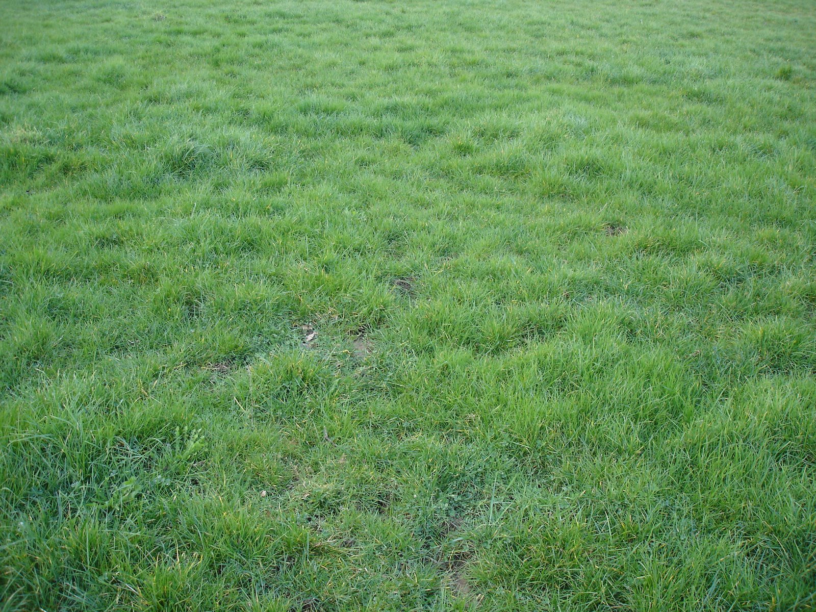 [DSC00064.JPG]