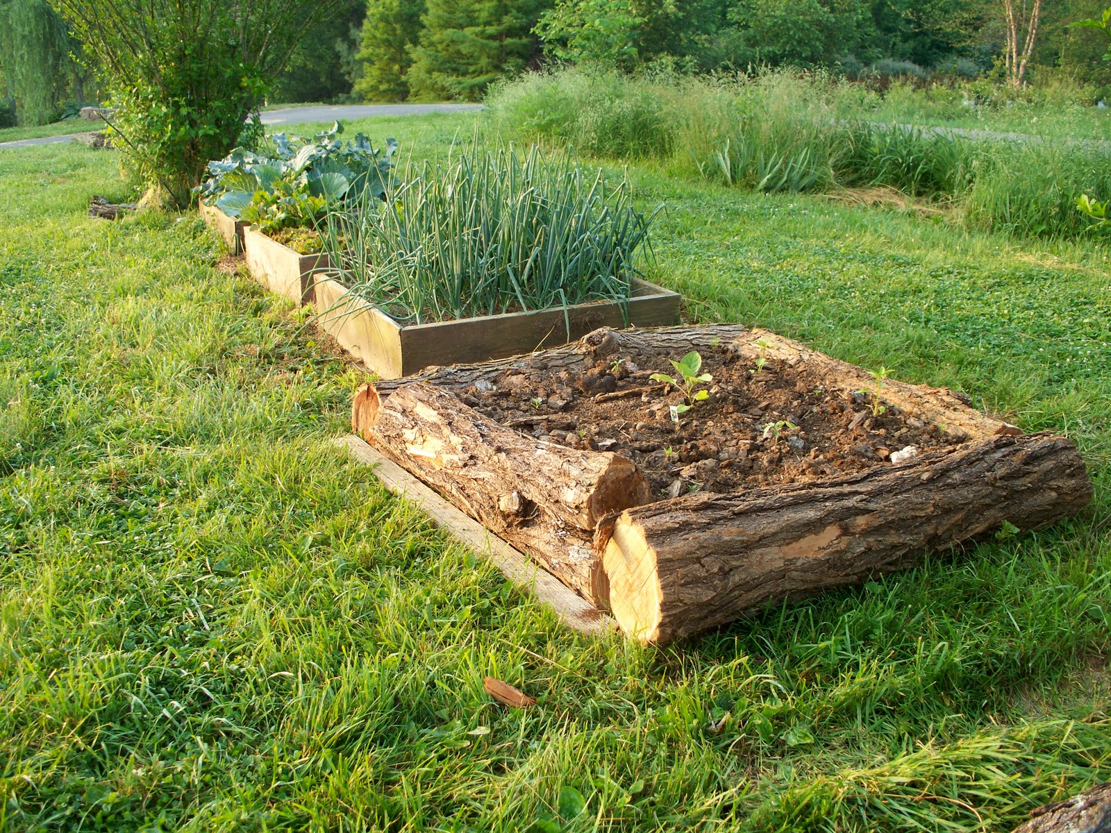 Curtis and Kaye Absher Raised Bed Gardening