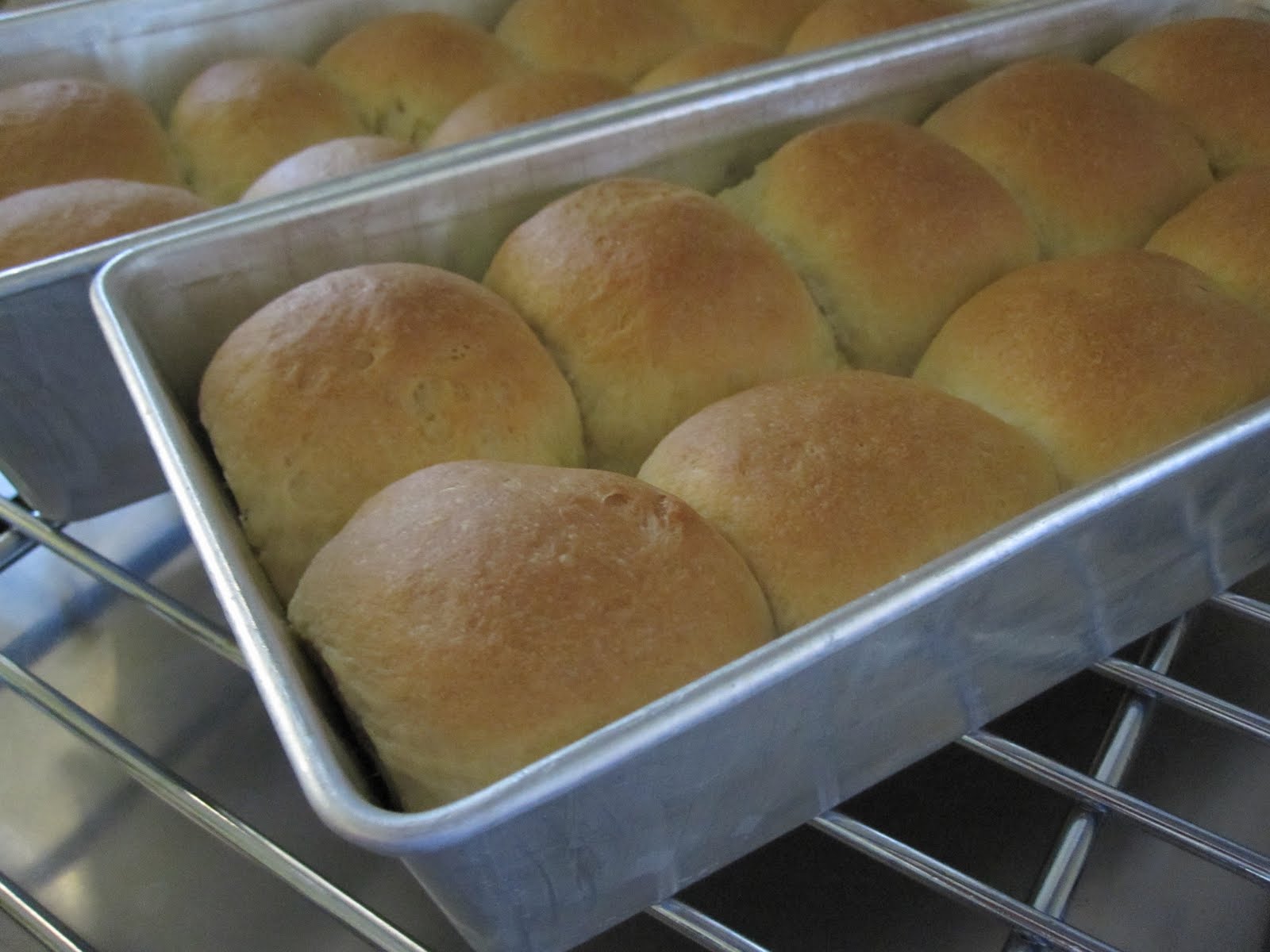 Dari Lensa Seorang Makcik Roti Naik Dari Lensa Seorang Makcik Roti Naik