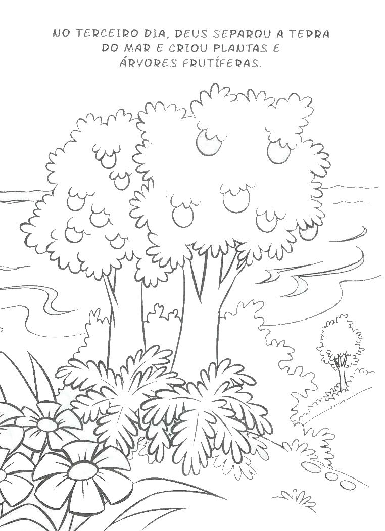 Crianças Luz do Mundo: A CRIAÇÃO DO MUNDO