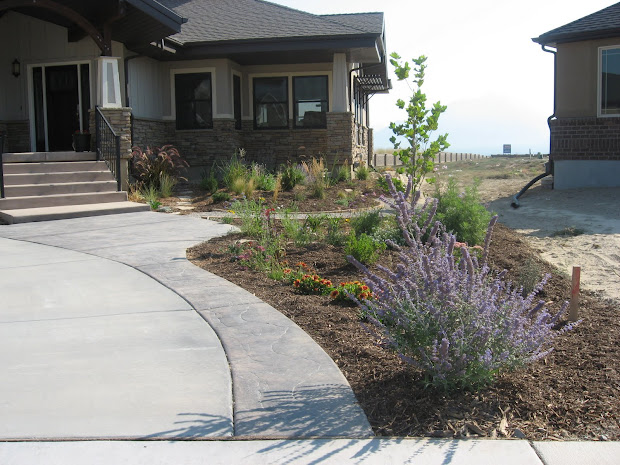 bulsongreenhome xeriscaping
