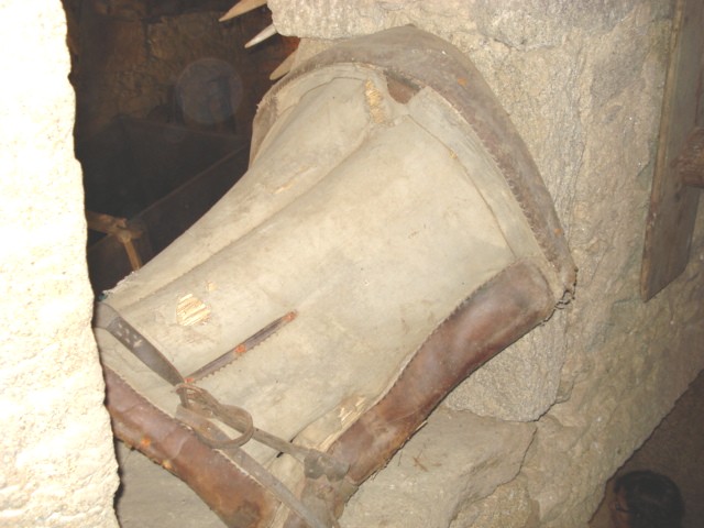 [DSC00030.JPG]