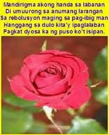 Rosas para kay Miss M