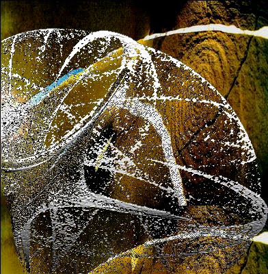 [attractor+3.jpg]