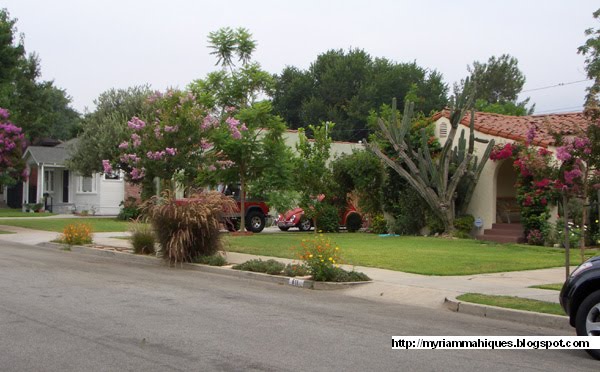 [front+yard.jpg]