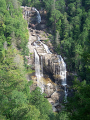 The Falls