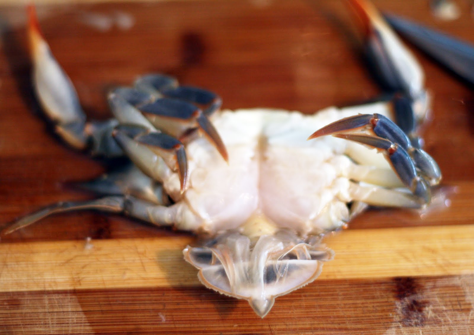 How to Clean Soft Shell Crabs Coconut & Lime