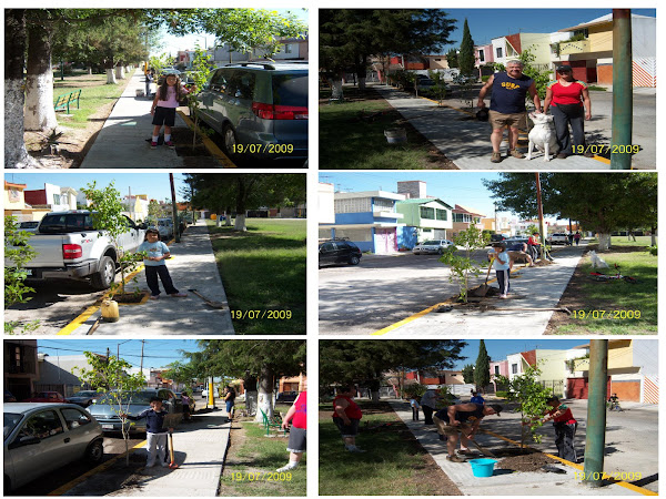 REFORESTANDO PARQUE 2