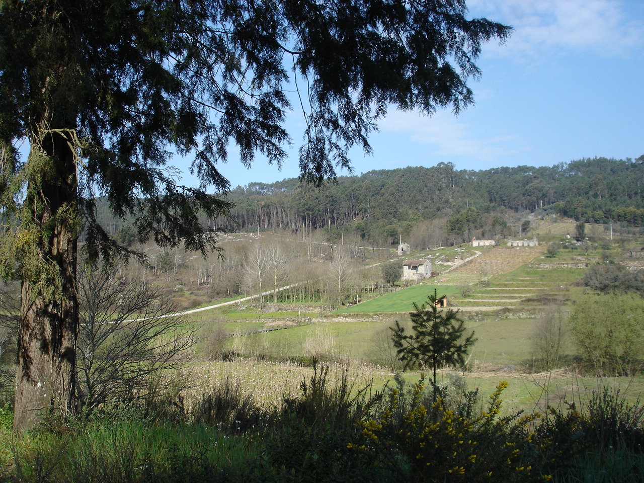 [DSC04223.JPG]