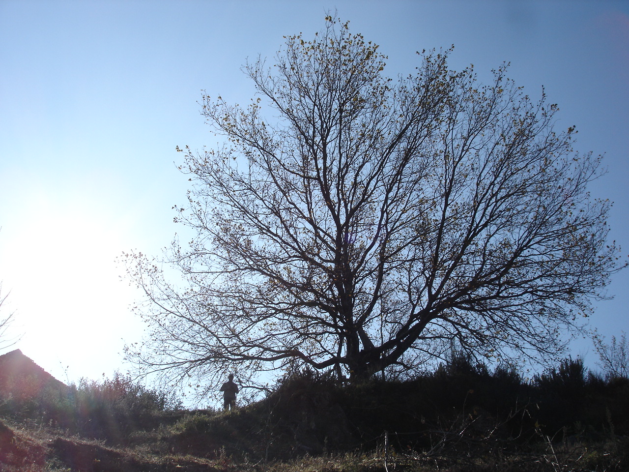 [DSC04229.JPG]