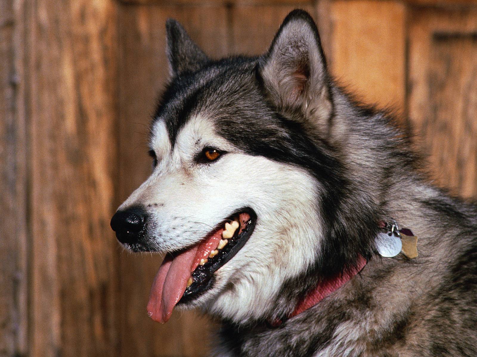 [Photo+Sample_5-745900.jpg]