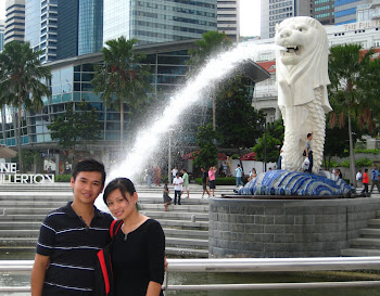 新加坡 Dec 2008